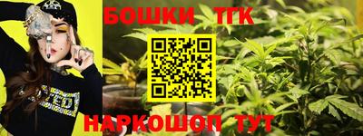 прущие грибы Славгород