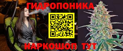 прущие грибы Славгород